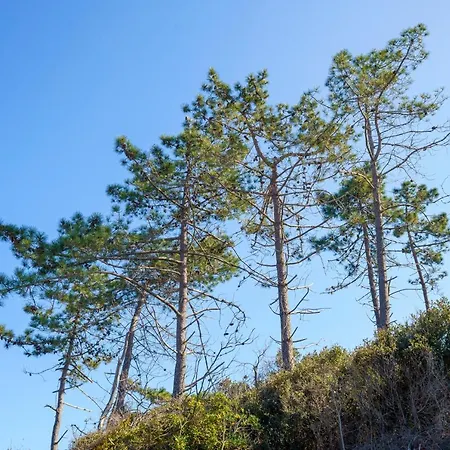 La Caletta Corsa - 2 Con Terrazza Privata, Aria Condizionata, 100m Dal Mare