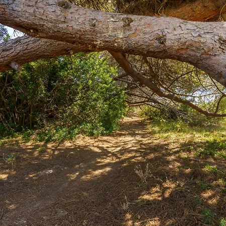 La Caletta Corsa - 2 Con Terrazza Privata, Aria Condizionata, 100m Dal Mare