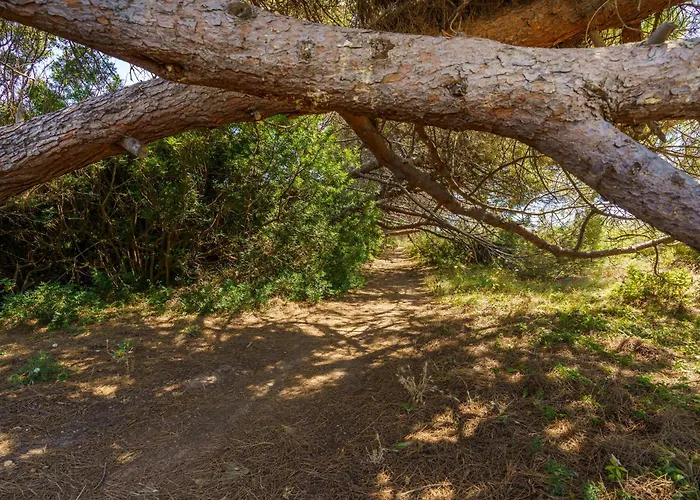 La Caletta Corsa - 2 Con Terrazza Privata, Aria Condizionata, 100m Dal Mare