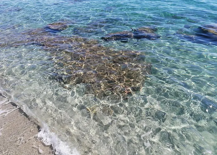 Apartman La Caletta Corsa - 2 Con Terrazza Privata, Aria Condizionata, 100m Dal Mare Linguizzetta