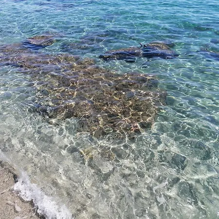 公寓 La Caletta Corsa Con Due A 100 M Dal Mare Linguizzetta