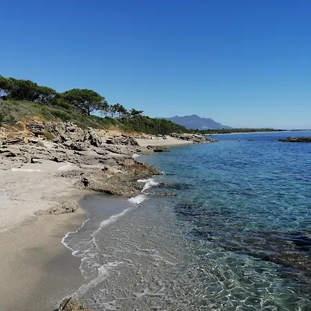 La Caletta Corsa Con Due A 100 M Dal Mare 公寓