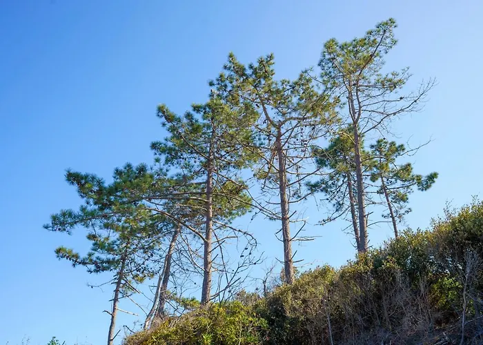 La Caletta Corsa - 2 Con Terrazza Privata, Aria Condizionata, 100m Dal Mare